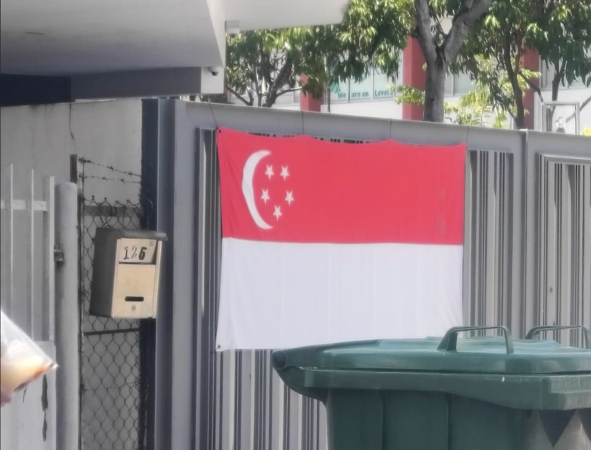 Singaporean spots ‘fault in our stars’ on flag